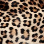 Screenshot 2026-03-17 5.13.18 PM.png