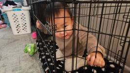 1774814218201.png 1774814218201.png