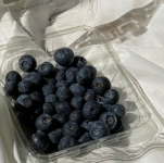 Screenshot 2026-03-29 8.45.48 PM.png