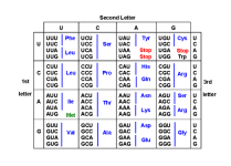 Screenshot 2026-03-31 9.06.51 AM.png