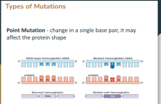 Screenshot 2026-03-31 9.07.41 AM.png