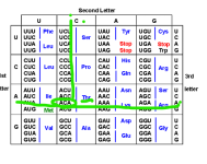 1774963089007.png 1774963089007.png