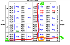 1774963253254.png 1774963253254.png