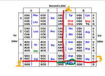 1774963683550.png 1774963683550.png