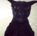 IMG_2568.jpeg IMG_2568.jpeg