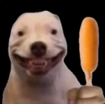 Screenshot 2024-11-25 200434.png