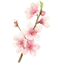 @nicolaaq (30).png @nicolaaq (30).png