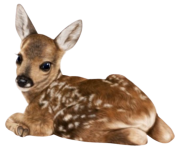 @niikiilyy (20).PNG @niikiilyy (20).PNG