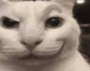 Devious Cat GIFs | Tenor