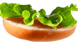 burger bun widget 2_2.jpeg