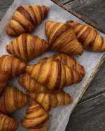 7e554910a3188238f107d5e670f81341.jpg 7e554910a3188238f107d5e670f81341.jpg