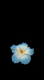 images - 2026-04-12T052544.785.jpeg images - 2026-04-12T052544.785.jpeg