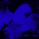 Screenshot 2026-04-17 9.30.44 AM.jpg