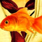 Screenshot 2026-04-23 5.23.25 PM.png