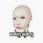 Kpop Meme Face Stickers for Sale ...