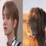 ⋆˚࿔ svt joshua icon_reaction pic_.jpg