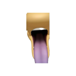 1777692191801.png