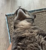 IMG_4709.jpeg
