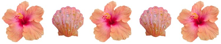 IMG_1273.png IMG_1273.png