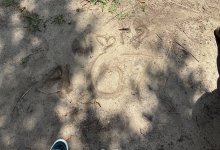 IMG_5280.jpeg