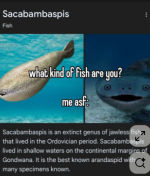 1778533054977.png
