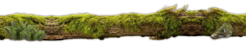 IMG_1346.png IMG_1346.png