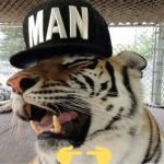 👈.png