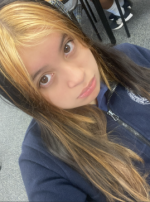 1778801101619.png