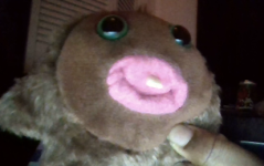 1778799484679.png