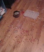 IMG_20260514_200113.jpg