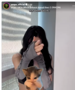 1779026198383.png