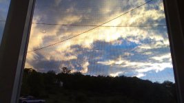 IMG_20260521_202547.jpg