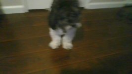 IMG_20260524_192616.jpg
