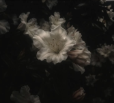 1779705117572.png