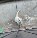 IMG_6108.jpeg