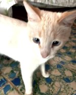 IMG_6109.jpeg