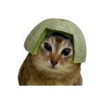 1779842801198.png