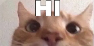 1780270803857.png