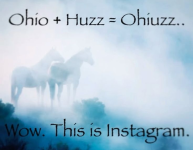 1780812513337.png