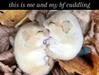 IMG_6765.jpeg