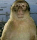 IMG_2608.jpeg