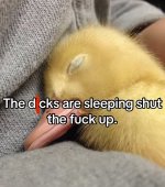 IMG_7460.jpeg