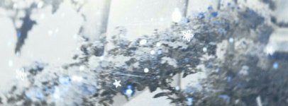 IMG_6376.jpeg