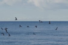IMG_5281.jpeg