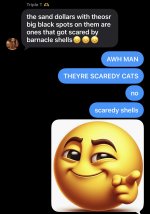 IMG_7477.jpeg