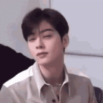 IMG_0009.gif