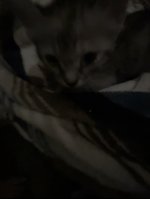 IMG_9316.jpeg