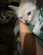 IMG_9315.jpeg