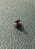 GridArt_20260616_161606779.jpg