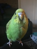 IMG_0461.jpeg
